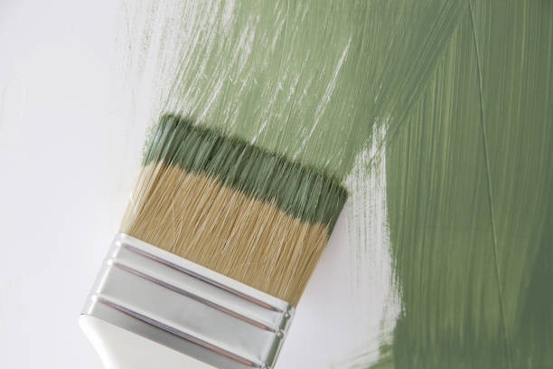 Best Black Mold Removal  in The Hills, NJ