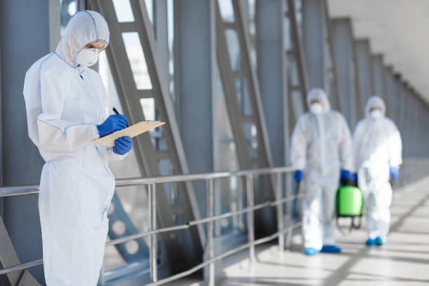 Best Mold Removal for HVAC Installations  in The Hills, NJ