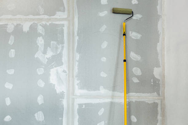Best Attic Mold Removal  in The Hills, NJ