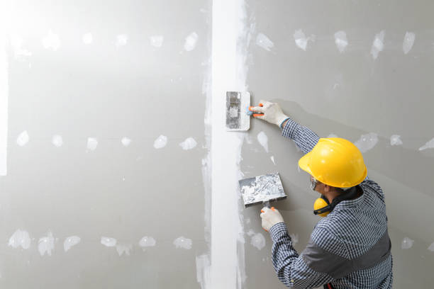 Best Crawl Space Mold Remediation  in The Hills, NJ