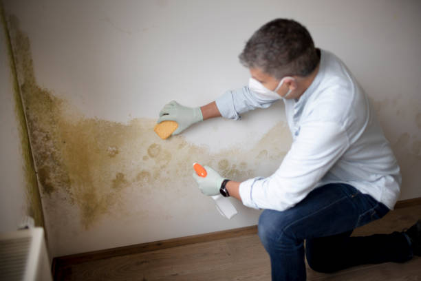 Best Indoor Air Quality Assessment  in The Hills, NJ