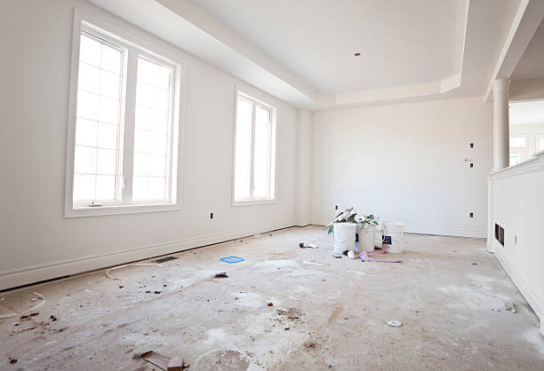 Best Mold Damage Restoration  in The Hills, NJ