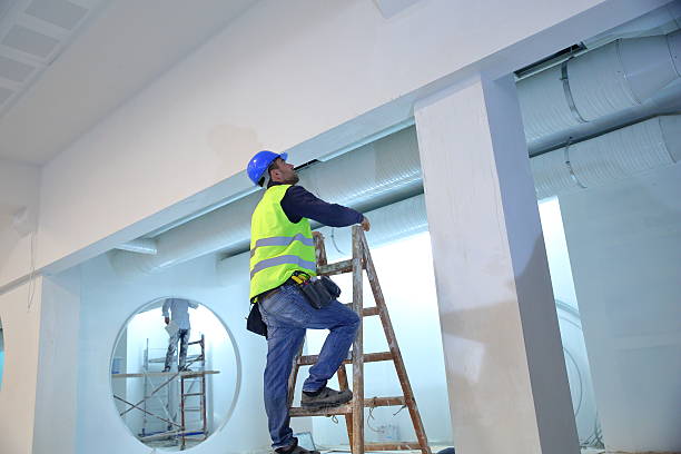 Best Biohazard Mold Removal  in The Hills, NJ