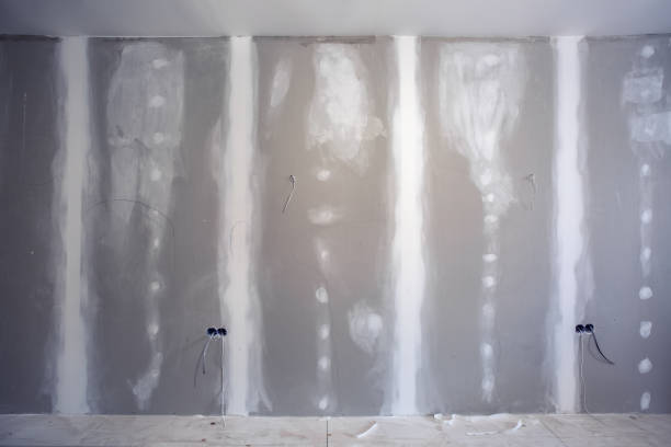  The Hills, NJ Mold Removal Pros